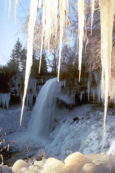 西岡選手夫妻も驚いたミネアポリスの冬。