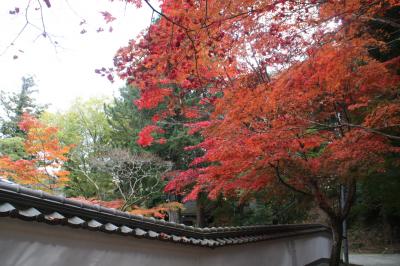 2010年播磨の紅葉⑤　五峰山光明寺