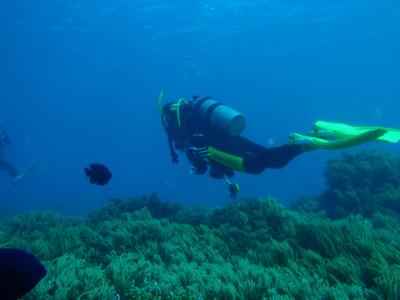 どうせならＡＯＷ講習