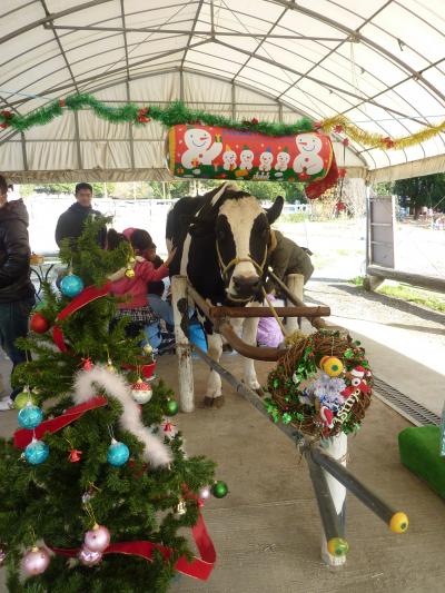 メリークリスマス♪愛知牧場