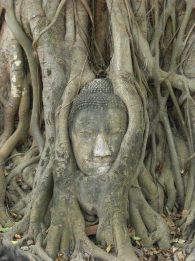 久しぶりのバンコクへ! Day1, Day2, Day3