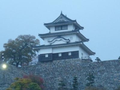 夜の丸亀城跡（亀山公園）を散策（県外出張で高知へ⑦）　