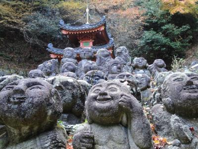 京都・・・嵐山～嵯峨野の紅葉