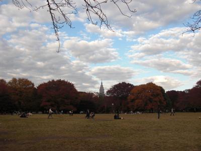 2010東京紅葉狩り②代々木公園