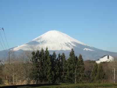 ２０１０年「ＪＯＳANの御殿場の旅　冬ー②」１２/28～３０