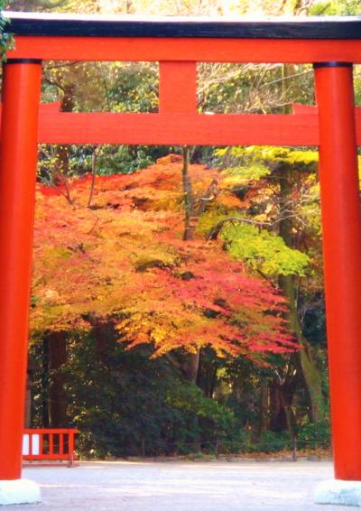 古都晩秋06　聖域/下鴨神社に参詣　☆糺の森は紅葉さかり
