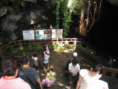 飛んだり潜ったり！済州島目覚めの一撃