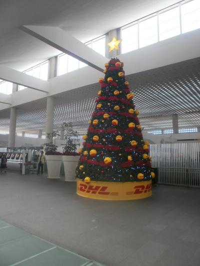 バンクーバーに戻ってきたぜい！！最高のハウスメートたち！！