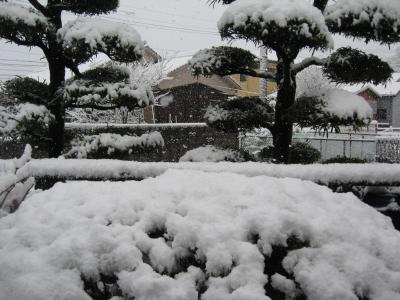 帰省(大阪から鹿児島へ)