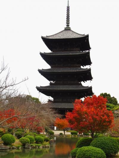 古都晩秋17　東寺　五重塔は日本一高い54.8ｍ　☆京都駅から新幹線で