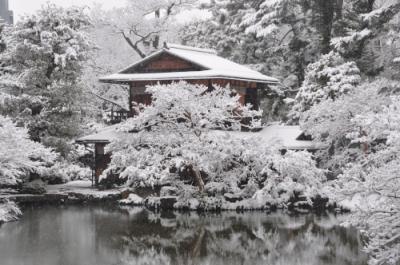 京都は大晦日から元旦は珍しく積雪でした。