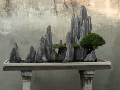 水郷の町無錫・蘇州・朱家角(上海)巡りの旅. <?>