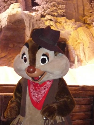 冬のパリ＆コペンハーゲン　～ディズニーランドパリの巻～