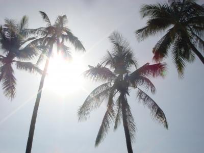 2度目のランカウイ上陸