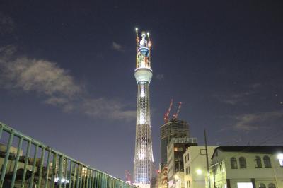 シンガポール航空で行く　サプライズプレハネムーン2011 in バリ　アヤナリゾート＆スパ　その②　年越し蕎麦旨すぎ！　年末の首都圏はガラガラですよ！　スカイツリーも綺麗だなあ！？編