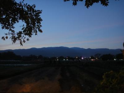 ２０１０　チェンマイ再び　３