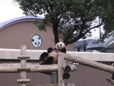 家族旅行！で和歌山めぐり②