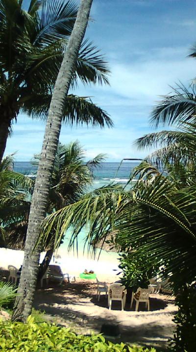 ココ・パーム・ガーデン・ビーチ　２００８