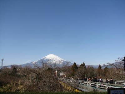 寒いよ御殿場～大混雑な物欲の街・御殿場プレミアムアウトレットへの道～