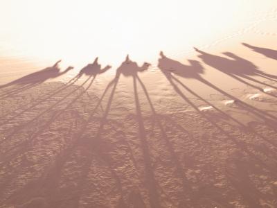 砂漠も行く ~sahara