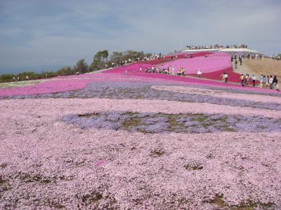 ～芝桜を見に行こう♪　in茶臼山高原～