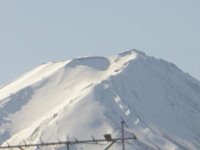 Snowboard in Fujiten