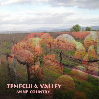 Temecula Wine Country　　　テメキュラのワイナリー