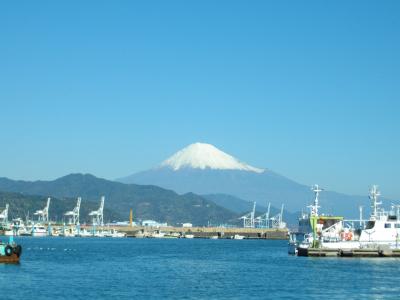 また、清水港ウォーキング！