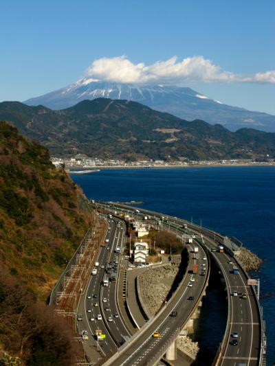 さった峠3/4　富士山と駿河湾を望む絶景の地　☆みかん園と水仙咲く道