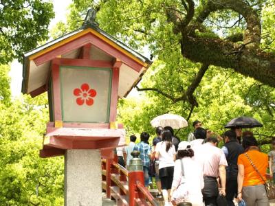 九州（博多・大宰府・湯布院・阿蘇・黒川・別府）４日間の旅 エリアのみ