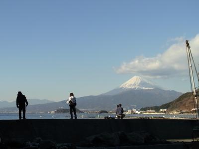 伊豆半島一周・富士山と駆け足湯めぐり①