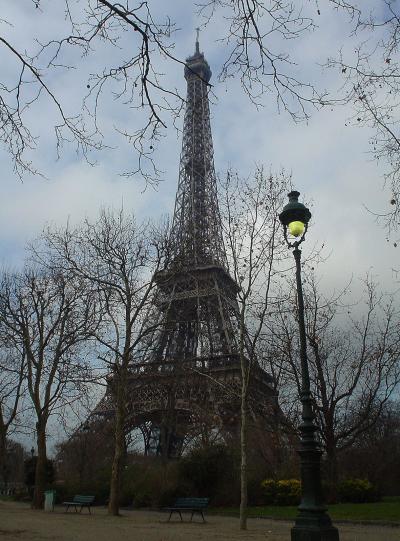 アパルトマンの窓から　’１１厳冬　９日目 ラスパイユのマルシェでは