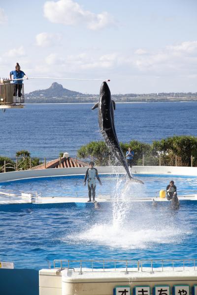 モナリザの動物園・水族館の旅、4（美ら海水族館）