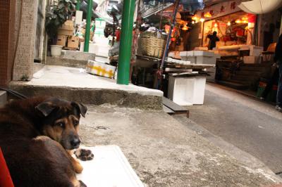 香港＆半日マカオ②SOHOなど街あるき（2011.1.6-9）