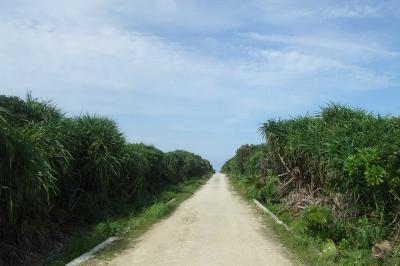 ２０１０年８月　久高島