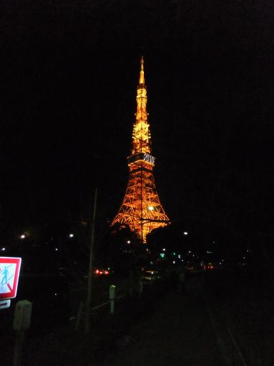 姉とプリンスパークタワーへ1泊☆