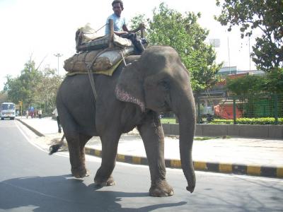 インドの世界遺産No.1 & 2：象が歩む首都デリーのクトゥブ・ミナールとフマユーン廟（改訂版）