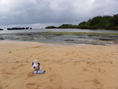西表島観光・前半（星砂海岸・ピナイサーラの滝etc.）◆八重山諸島（石垣島・西表島・竹富島）の旅【その７】
