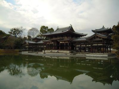 京都・冬の特別公開を見に行こう！【２日目】～平等院～宇治上神社～芬陀院～東寺～