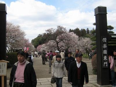 水戸偕楽園の梅、那珂湊の魚市場へ