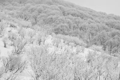 伊吹山スノーハイク