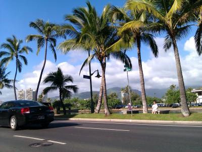 2011年 1月　ハワイ　オアフ島　7日間～スーパーばっかり行って...。