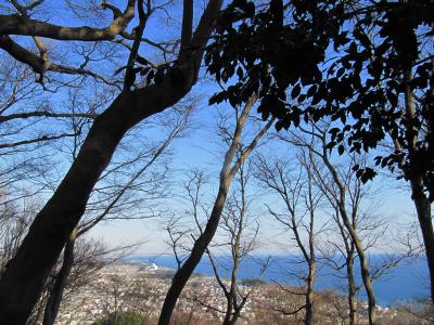 ひと足早くに春を求めて埼玉からはるばる湘南の吾妻山公園へ（1）てくてく展望台へ＆吾妻神社と浅間神社と湘南の海の見晴らし