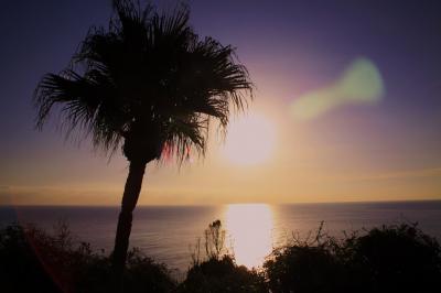 鹿児島空港→宮崎周遊・2011冬（その１／６）★海岸線に沿って志布志郷から都井岬へ