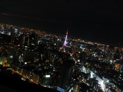 ≪ダイジェストというか目次≫　２０１1初春　東京旅行　２０１１年１月