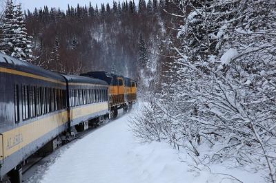 初アラスカ#5☆元旦からアラスカ鉄道に5時間缶詰めトホホの巻