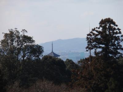 ちょっとお散歩～東大寺二月堂あたり