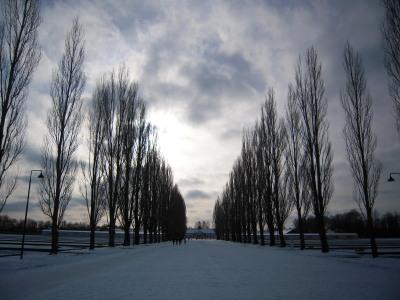 Jan2011 ミュンヘン　ドイツの過去と現在　（ダッハウ強制収容所、BMW博物館）