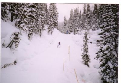 こてこて初心者カナダスキー
