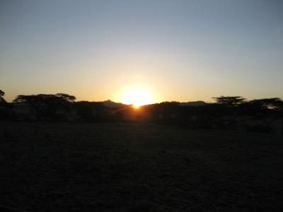 2010タンザニア大自然紀行10日間その５（ロボからンゴロンゴロクレーターへ）